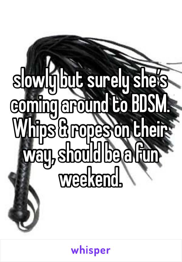 slowly but surely she’s coming around to BDSM. Whips & ropes on their way, should be a fun weekend.