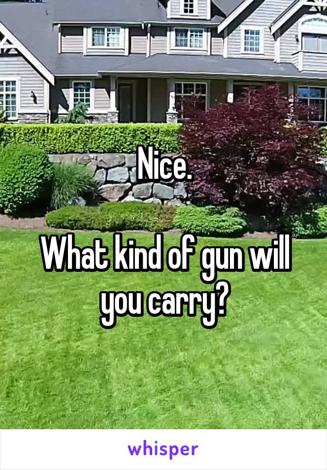 Nice.

What kind of gun will you carry?