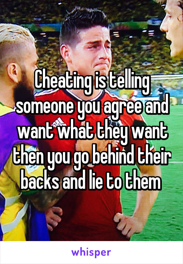 Cheating is telling someone you agree and want what they want then you go behind their backs and lie to them 