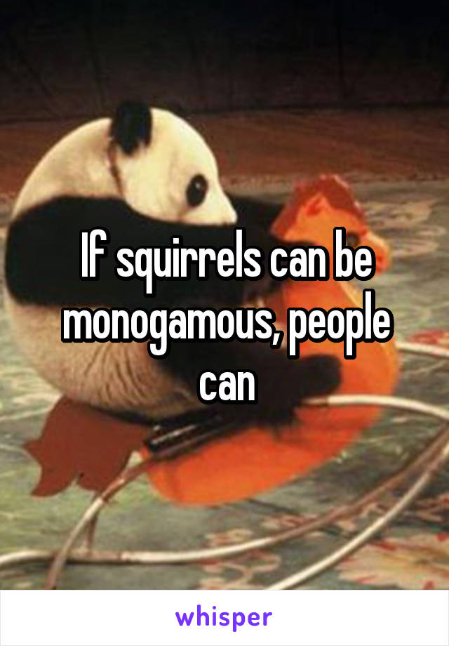 If squirrels can be monogamous, people can