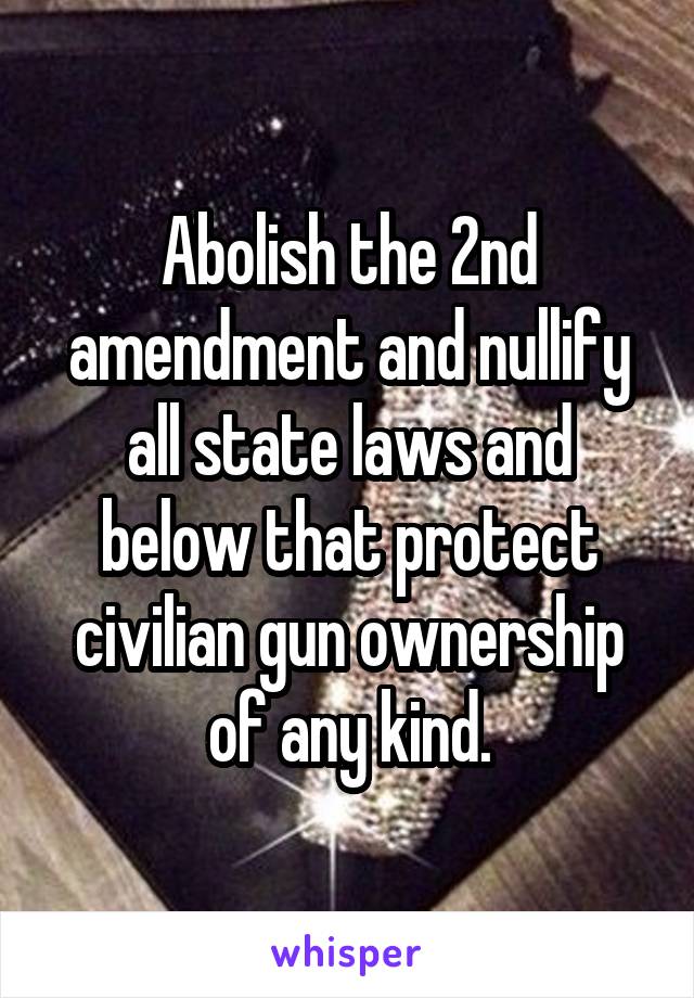 Abolish the 2nd amendment and nullify all state laws and below that protect civilian gun ownership of any kind.