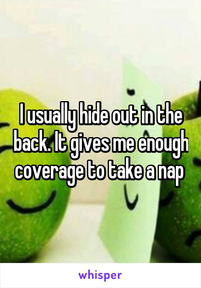 I usually hide out in the back. It gives me enough coverage to take a nap 