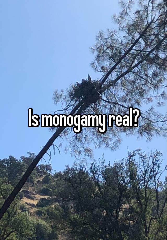 Is monogamy real?