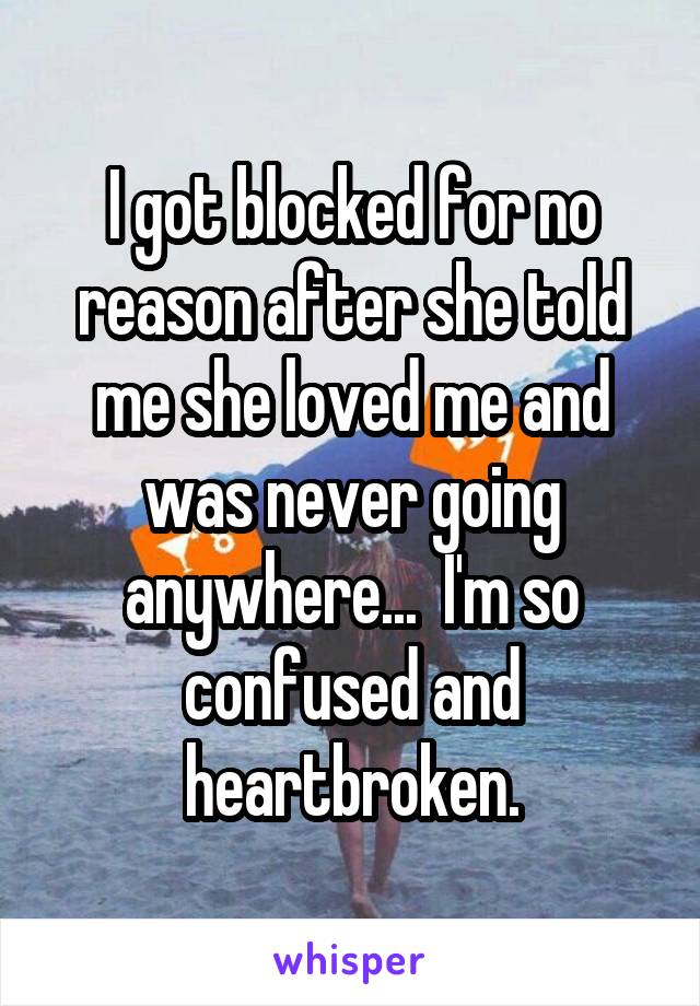 I got blocked for no reason after she told me she loved me and was never going anywhere...  I'm so confused and heartbroken.