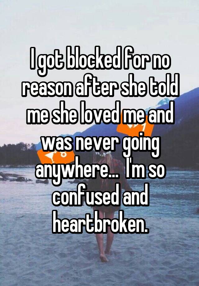 I got blocked for no reason after she told me she loved me and was never going anywhere...  I'm so confused and heartbroken.