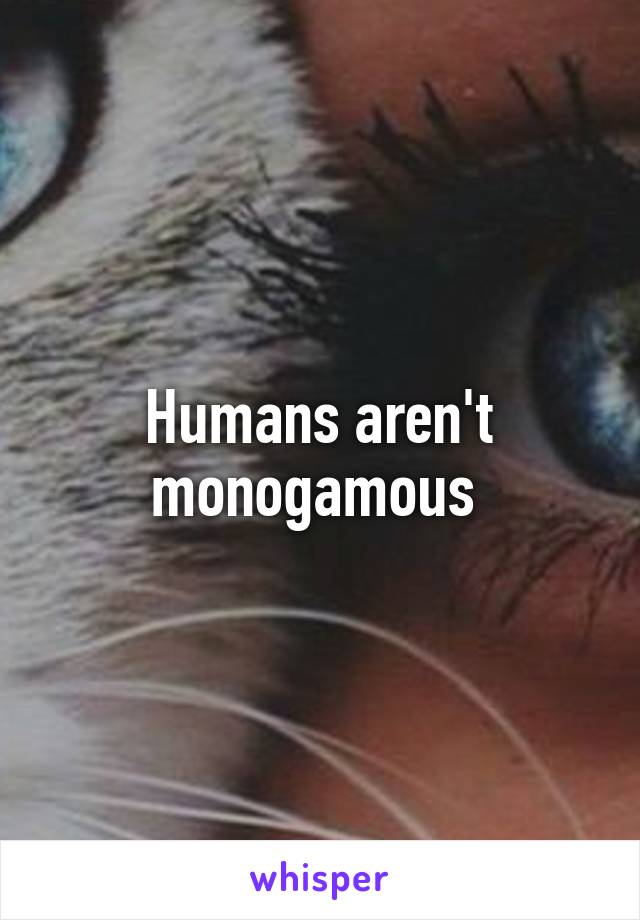 Humans aren't monogamous 