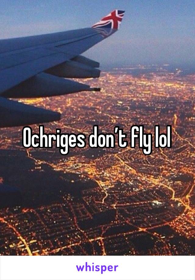 Ochriges don’t fly lol