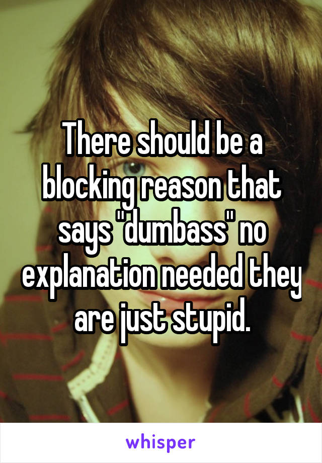 There should be a blocking reason that says "dumbass" no explanation needed they are just stupid.