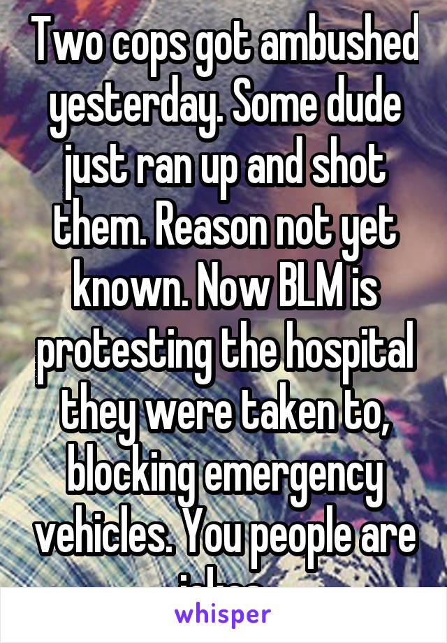 Two cops got ambushed yesterday. Some dude just ran up and shot them. Reason not yet known. Now BLM is protesting the hospital they were taken to, blocking emergency vehicles. You people are jokes 