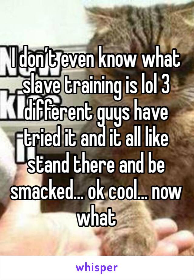 I don’t even know what slave training is lol 3 different guys have tried it and it all like stand there and be smacked... ok cool... now what 