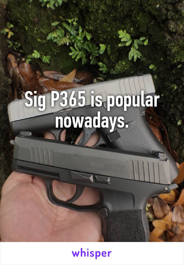 Sig P365 is popular nowadays.

