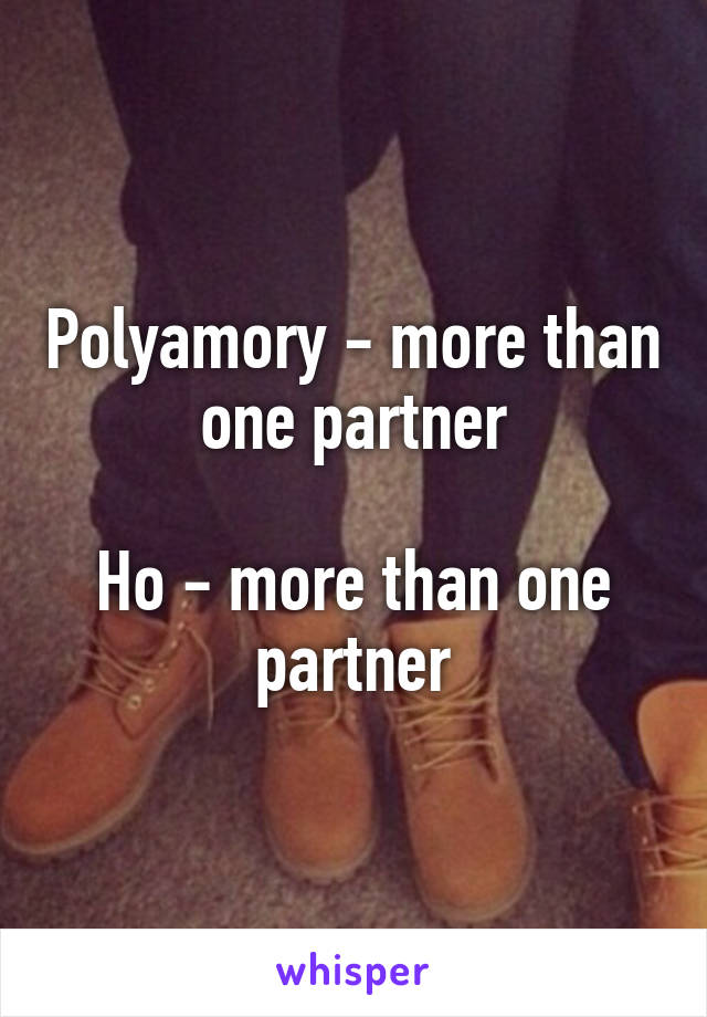 Polyamory - more than one partner

Ho - more than one partner