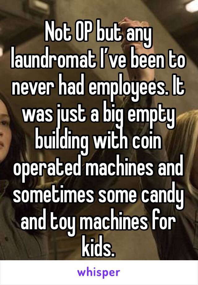 Not OP but any laundromat I’ve been to never had employees. It was just a big empty building with coin operated machines and sometimes some candy and toy machines for kids. 