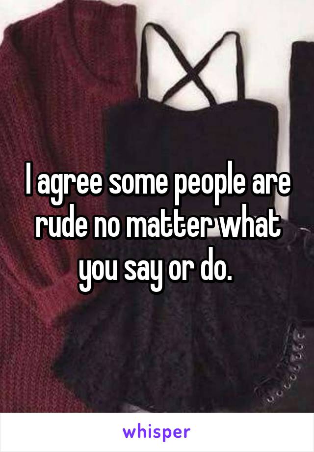 I agree some people are rude no matter what you say or do. 