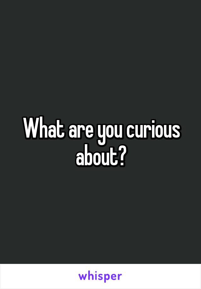 What are you curious about?