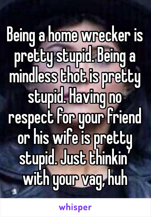Being a home wrecker is pretty stupid. Being a mindless thot is pretty stupid. Having no respect for your friend or his wife is pretty stupid. Just thinkin’ with your vag, huh