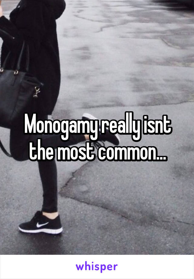 Monogamy really isnt the most common...