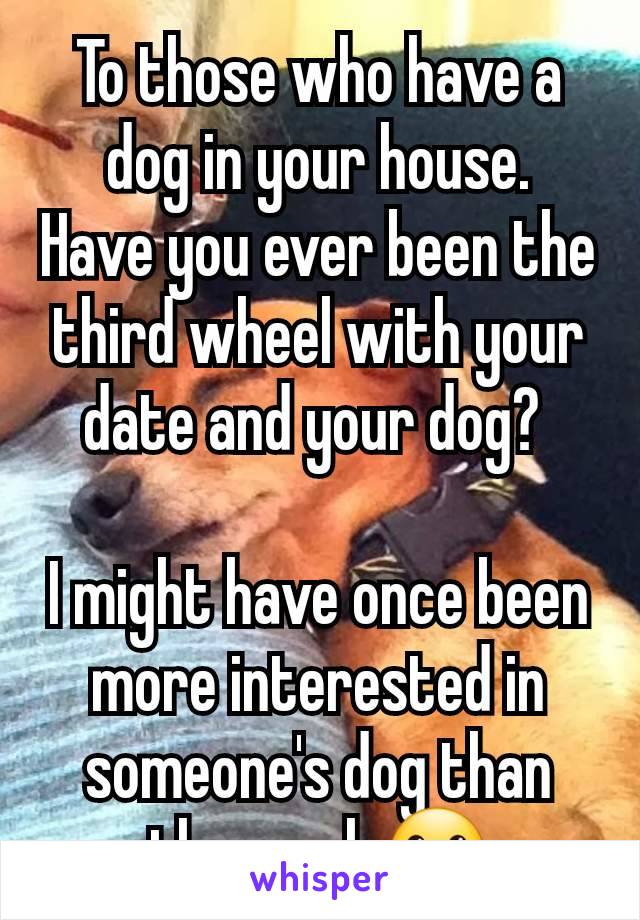 To those who have a dog in your house.
Have you ever been the third wheel with your date and your dog? 

I might have once been more interested in someone's dog than them ngl. 😬