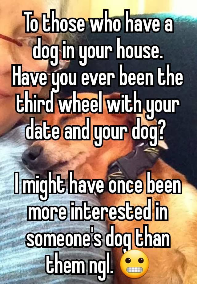 To those who have a dog in your house.
Have you ever been the third wheel with your date and your dog? 

I might have once been more interested in someone's dog than them ngl. 😬