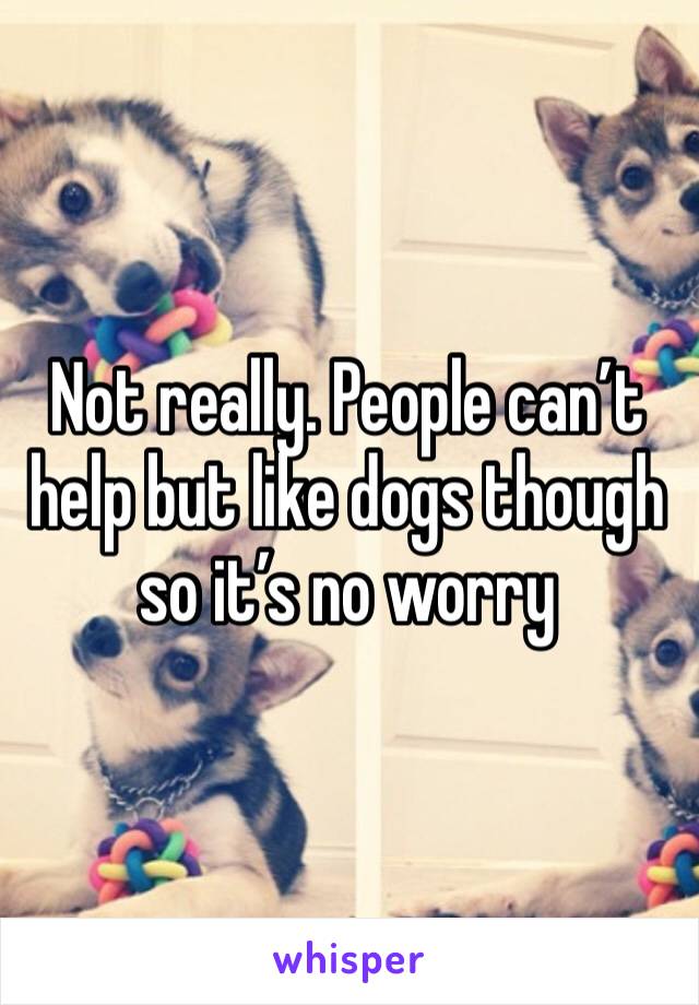 Not really. People can’t help but like dogs though so it’s no worry 