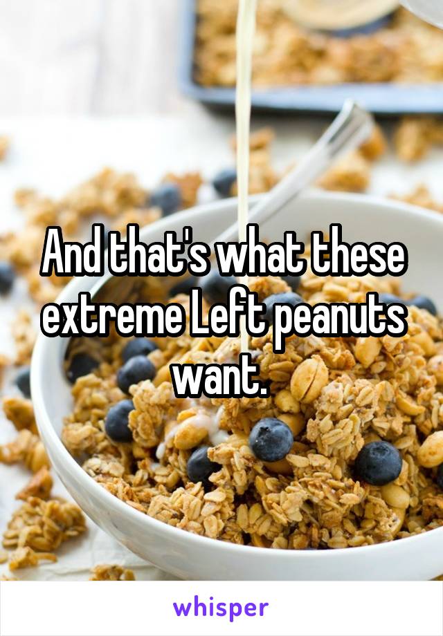 And that's what these extreme Left peanuts want. 