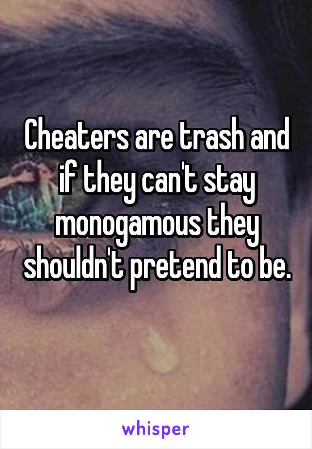Cheaters are trash and if they can't stay monogamous they shouldn't pretend to be. 