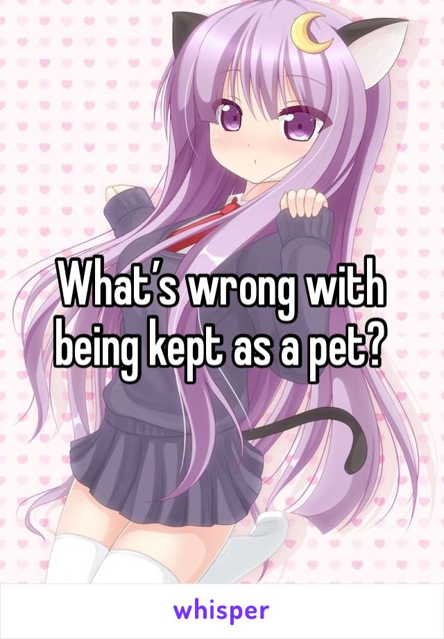 What’s wrong with being kept as a pet?