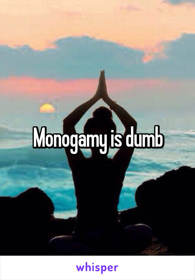 Monogamy is dumb