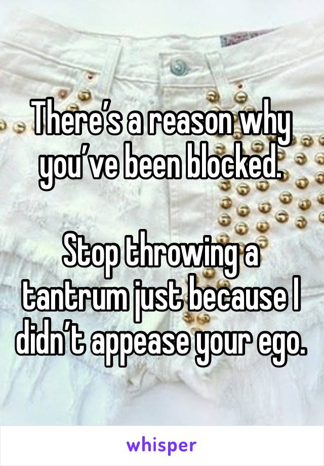 There’s a reason why you’ve been blocked. 

Stop throwing a tantrum just because I didn’t appease your ego. 