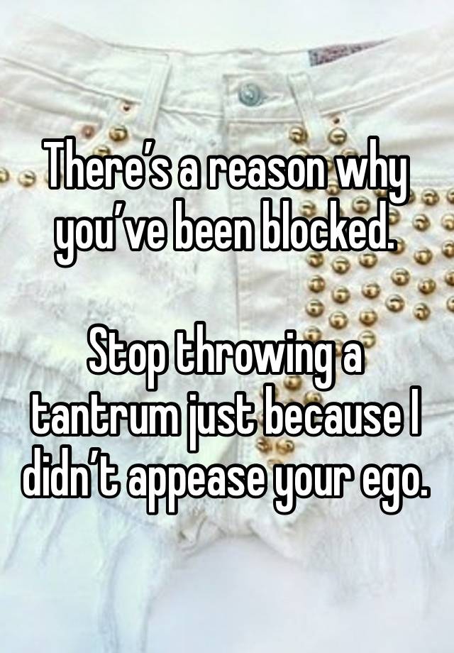 There’s a reason why you’ve been blocked. 

Stop throwing a tantrum just because I didn’t appease your ego. 