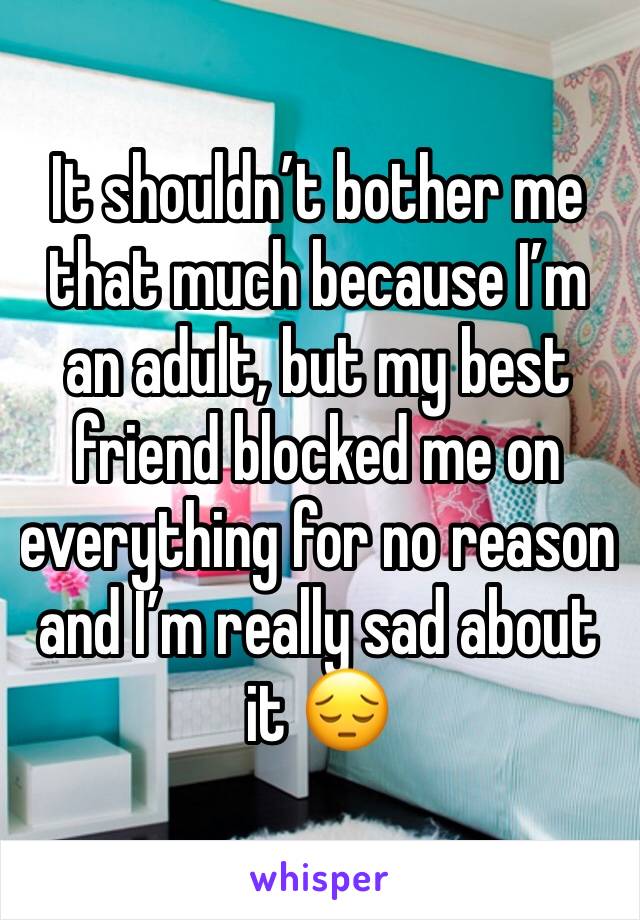 It shouldn’t bother me that much because I’m an adult, but my best friend blocked me on everything for no reason and I’m really sad about it 😔