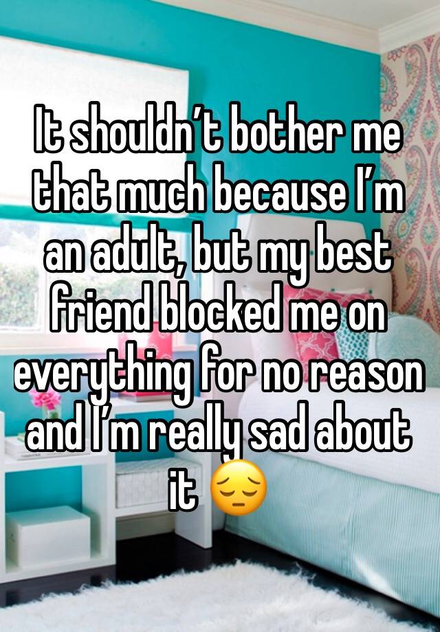 It shouldn’t bother me that much because I’m an adult, but my best friend blocked me on everything for no reason and I’m really sad about it 😔