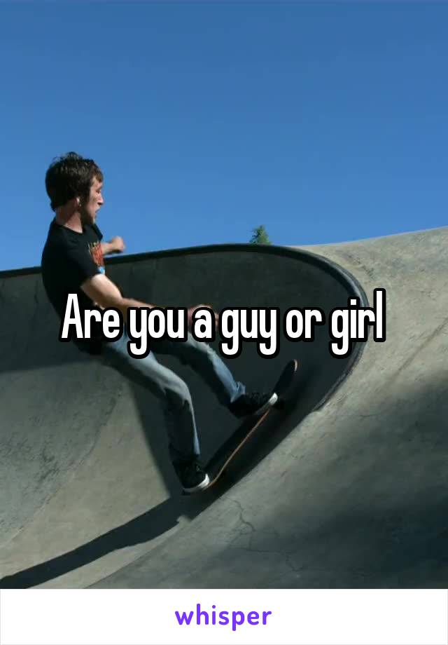 Are you a guy or girl 