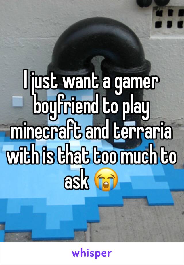 I just want a gamer boyfriend to play minecraft and terraria with is that too much to ask 😭