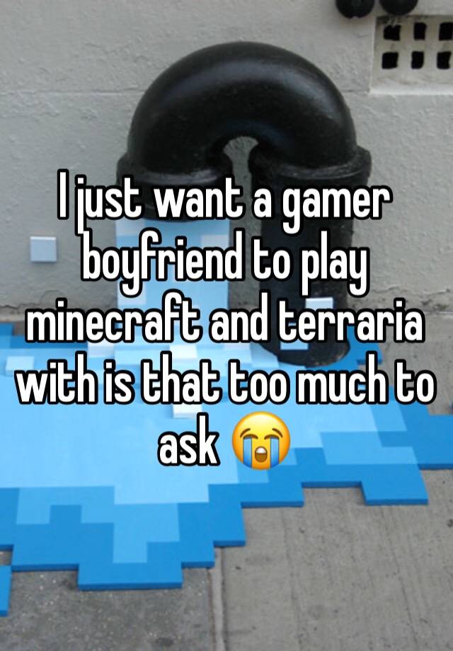 I just want a gamer boyfriend to play minecraft and terraria with is that too much to ask 😭