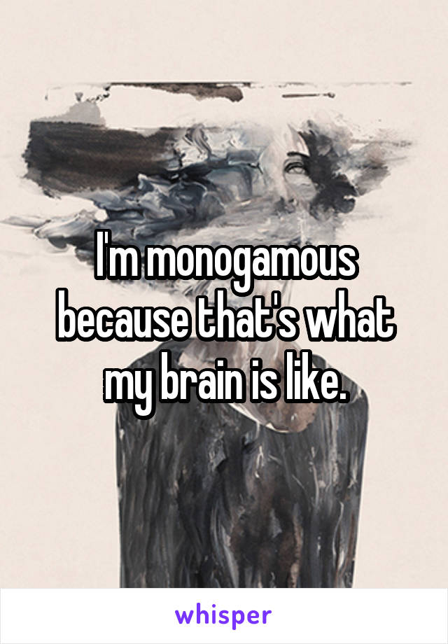 I'm monogamous because that's what my brain is like.