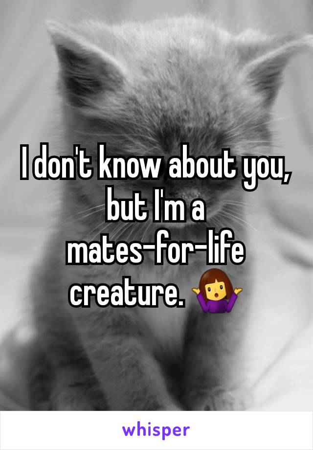 I don't know about you, but I'm a mates-for-life creature. 🤷‍♀️
