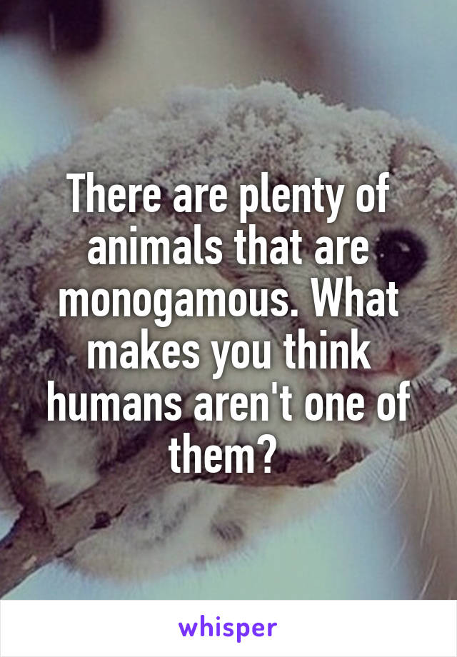 There are plenty of animals that are monogamous. What makes you think humans aren't one of them? 
