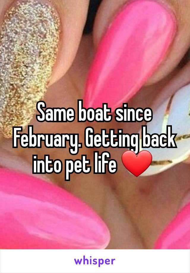 Same boat since February. Getting back into pet life ❤ 