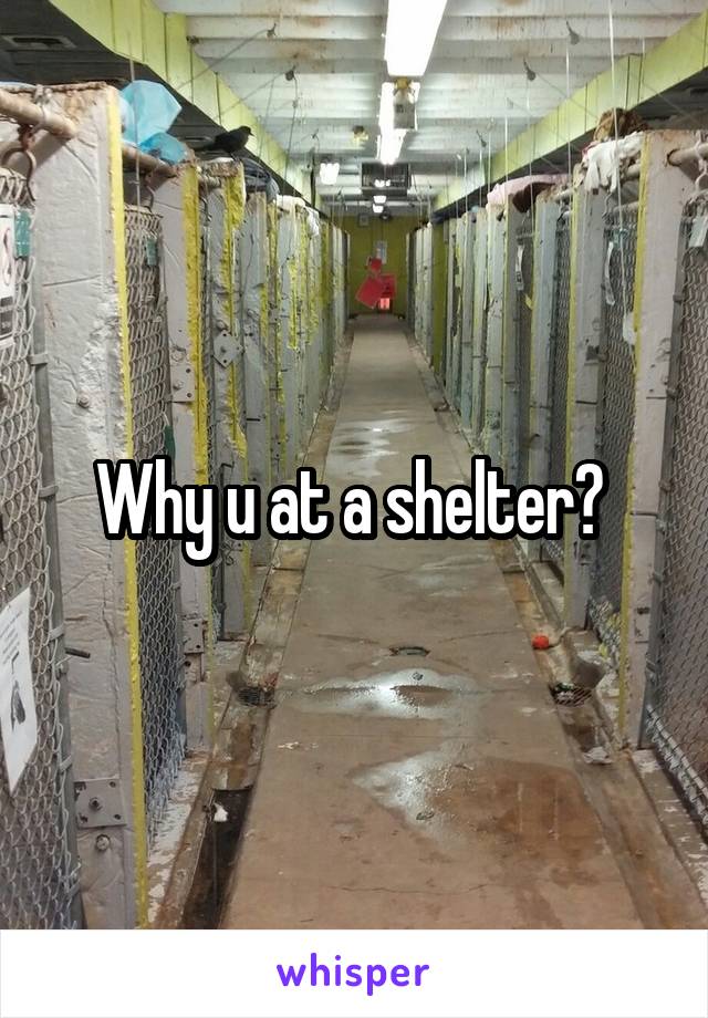 Why u at a shelter? 