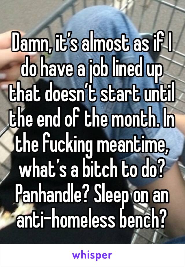 Damn, it’s almost as if I do have a job lined up that doesn’t start until the end of the month. In the fucking meantime, what’s a bitch to do? Panhandle? Sleep on an anti-homeless bench?