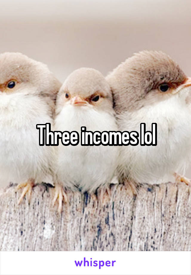 Three incomes lol