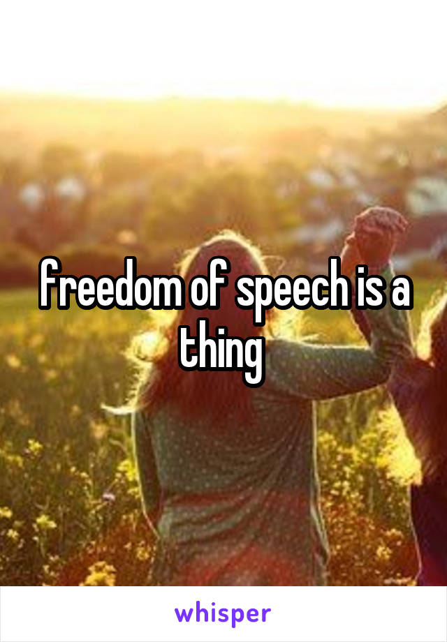 freedom of speech is a thing 