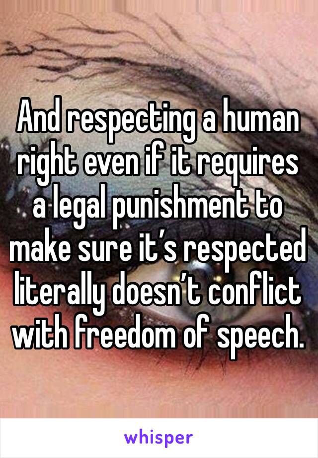 And respecting a human right even if it requires a legal punishment to make sure it’s respected literally doesn’t conflict with freedom of speech.