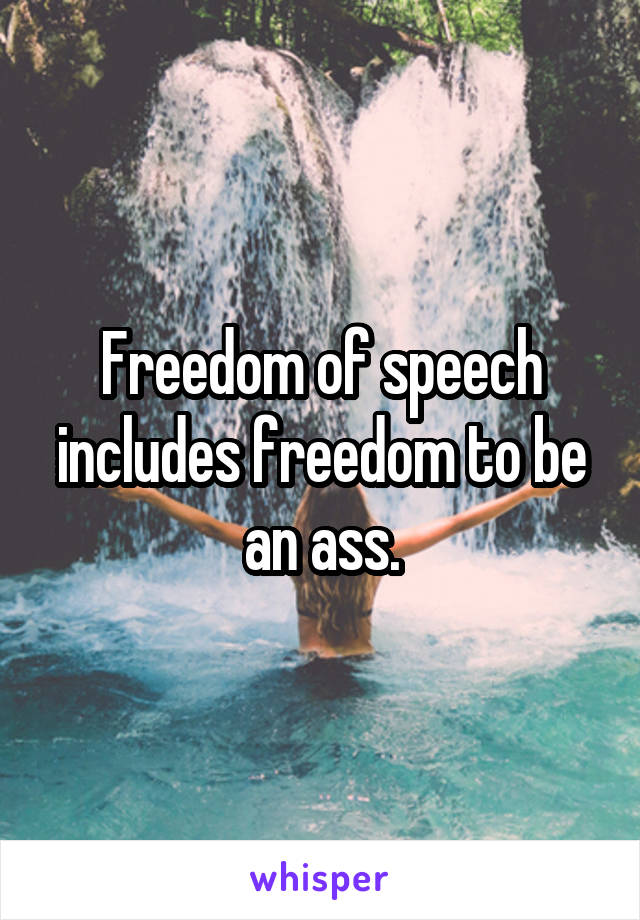 Freedom of speech includes freedom to be an ass.