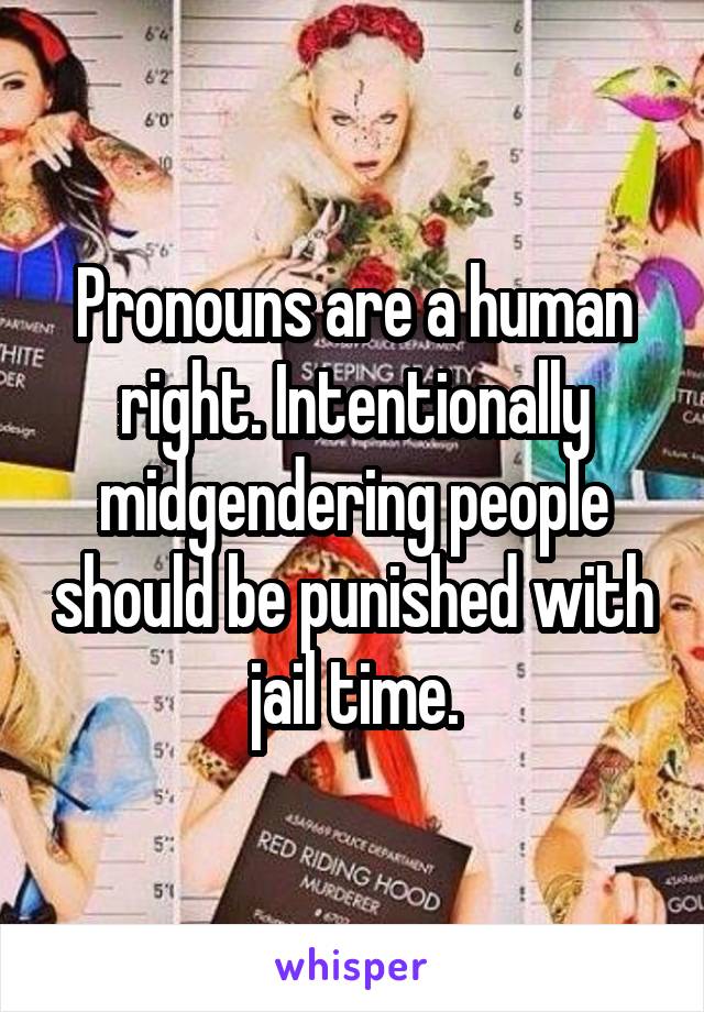 Pronouns are a human right. Intentionally midgendering people should be punished with jail time.