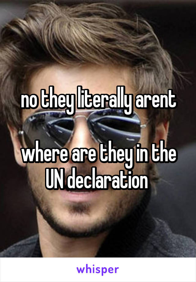 no they literally arent

where are they in the UN declaration 