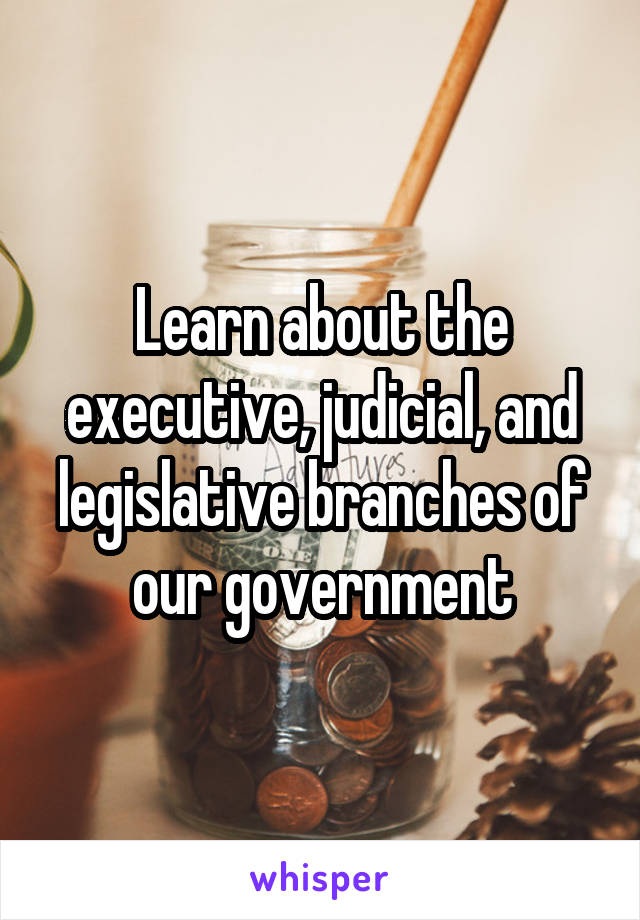 Learn about the executive, judicial, and legislative branches of our government