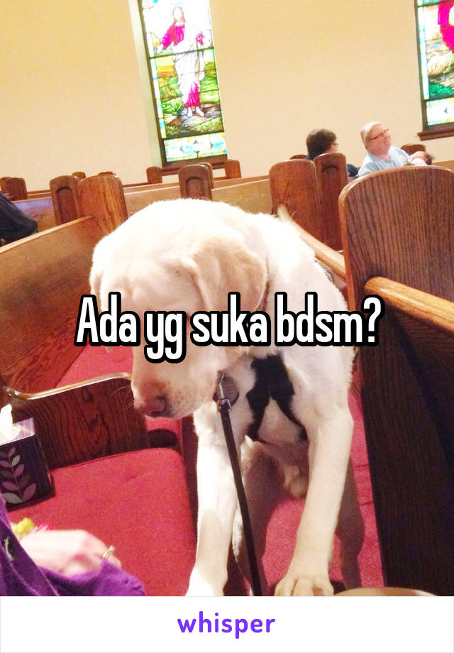 Ada yg suka bdsm?