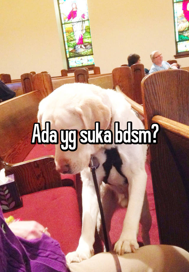 Ada yg suka bdsm?